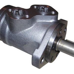 hydraulic motor